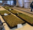 Photo Ministère des Ressources naturelles et des Forêts 34