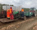 Photo Ministère des Ressources naturelles et des Forêts 36