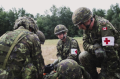Work environmentsThe Canadian Army3