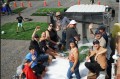Photo G.T.L. Paysagiste 13