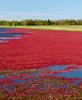 Environnement de travailCran-Québec II SENC0