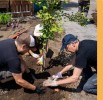 Environnement de travailService d'entraide Basse-Ville3