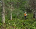 Photo Société d'Exploitation des Ressources des Monts inc. 8
