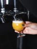 Environnement de travailOctave microbrasserie1
