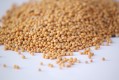 Environnement de travailLes Aliments Morehouse Canada ltée 2