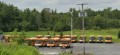 Environnement de travailAutobus Yamaska inc.2